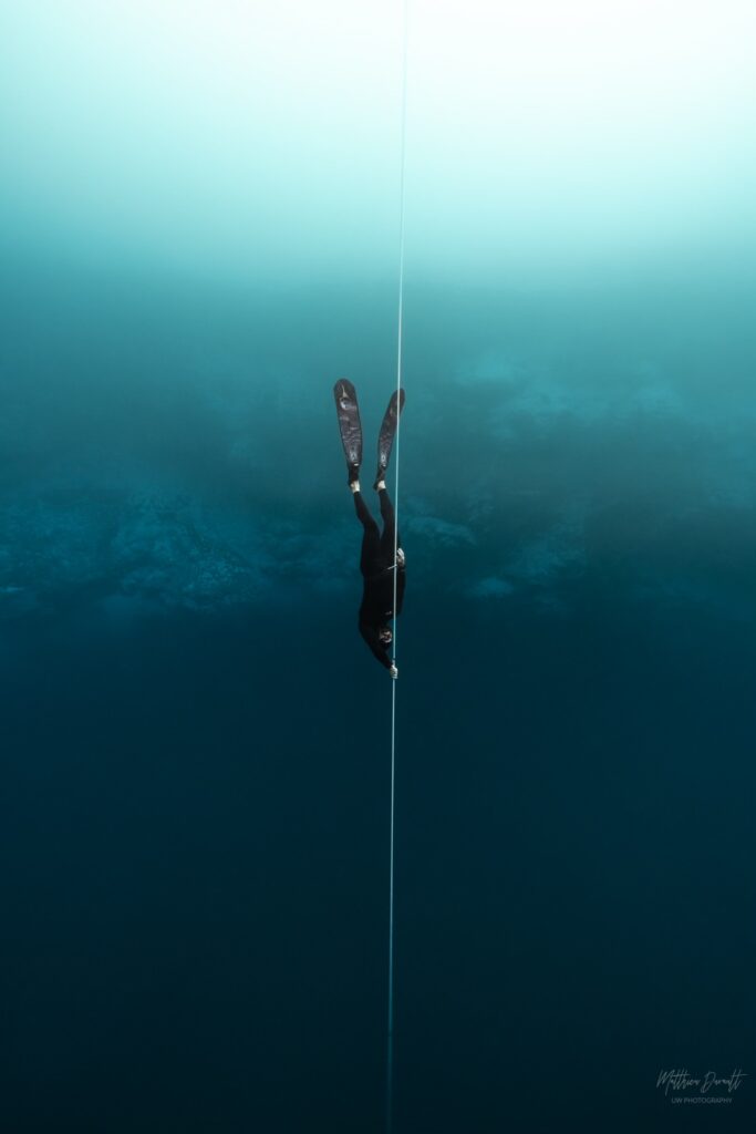 Cenote Freediving Camp